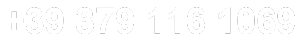 39 379 116 1069